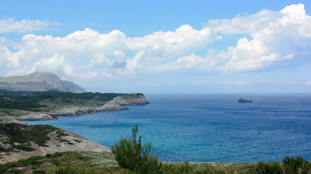 rising superyacht presence